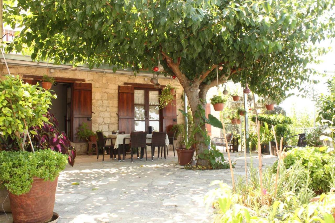 Bed and Breakfast Georgia'S House Fyti Exterior foto